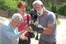 Ośrodek edukacji ekologicznej Muzeum Podlaskiego, Pani Jadwiga i Pani Dorota dotykają Sokoła trzymanego przez sokolnika na ręku