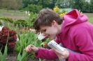 Teren wokół Domu, p. Anna delektuje się zapachem tulipana